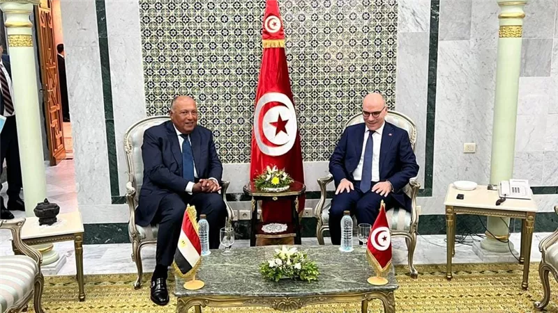وزير الخارجية يعقد جولة مشاورات سياسية مع نظيره التونسي