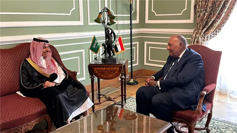 وزير الخارجية سامح شكري يعقد اجتماعاً ثنائياً مع نظيره السعودي