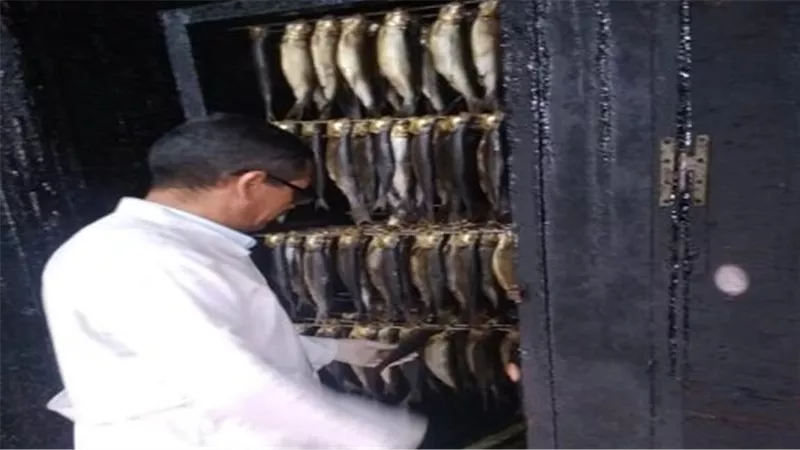 سلامة الغذاء بالغربية تضبط نصف طن رنجة غير صالحة للاستخدام الآدمي