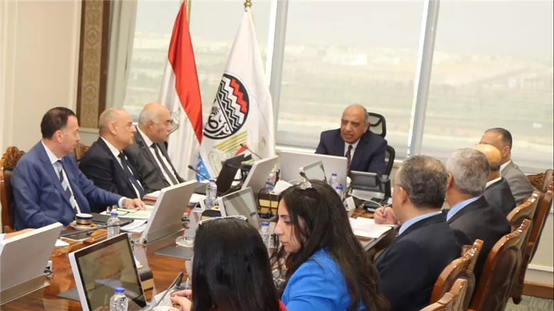  وزير قطاع الأعمال يستعرض إطلاق برنامج شامل ومتكامل يلبي الاحتياجات خلال مرحلة التطوير الحالية
