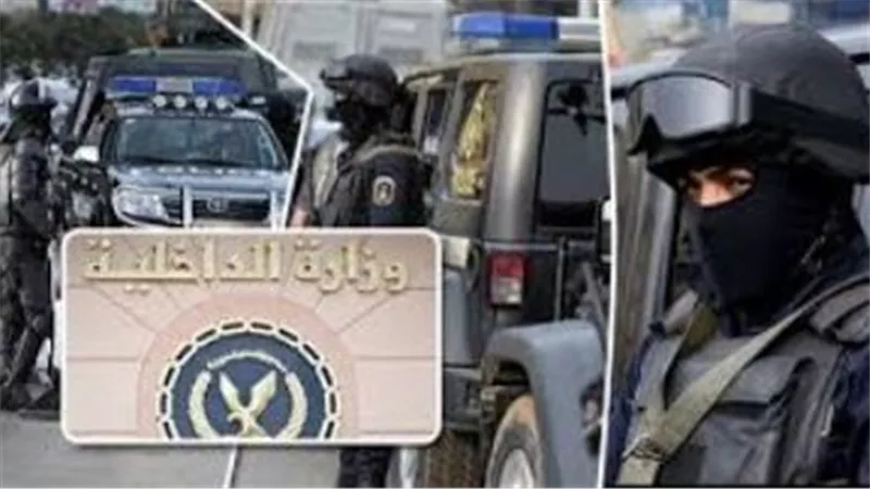 الداخلية تضبط 256 قطعة أثرية من العصر الرومانى بحوزة شخص 