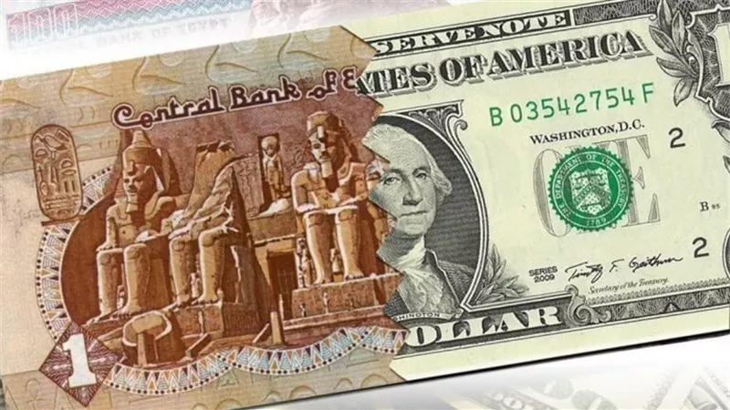 وفقًا لآخر تحديث عبر الموقع الرسمي للبنوك.. سعر الدولار مقابل الجنيه المصري