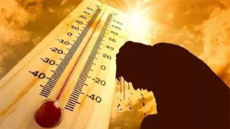 نسبة الرطوبة 85%.. 