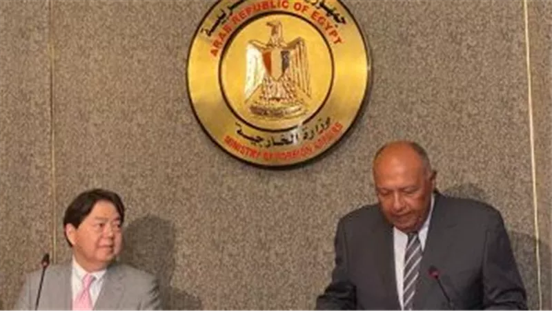 وزير الخارجية: استئناف الطيران المباشر بين القاهرة وطوكيو الأسبوع المقبل
