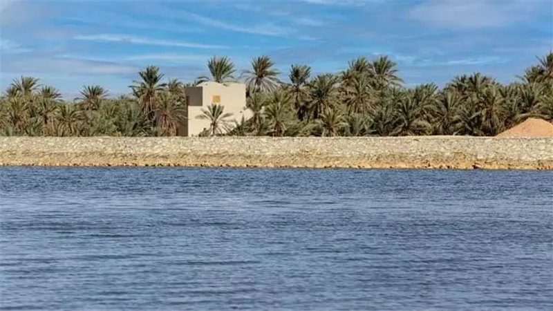  الدكتور سويلم يتابع موقف العاصفة 