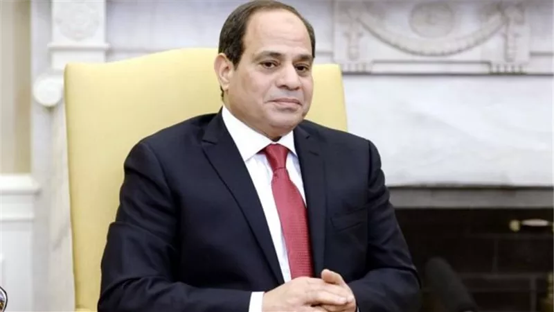 السيسي يلتقي مع ممثلي اتحادات طلاب شباب الجامعات