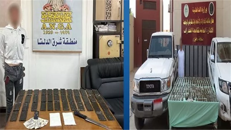 بمحافظتي مطروح والدقهلية.. ضبط عناصر إجرامية بتهمة الإتجار في المواد المخدرة