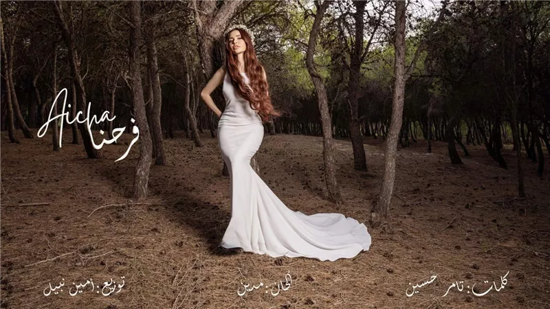 مناسبة لحفلات الزفاف.. عايشة عثمان تعود بأغنية 