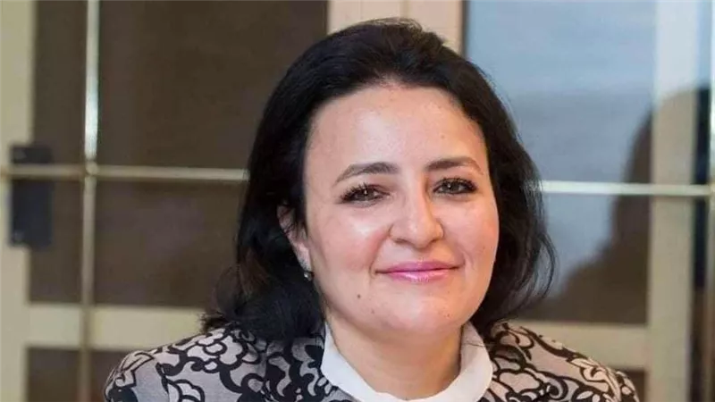 وكيل اللجنة الإستشارية للتنمية الاقتصادية بحماة الوطن: مؤتمر 