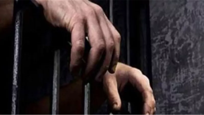 تأييد حبس هشام قاسم 6 أشهر بتهمة سب وقذف كمال أبو عيطة
