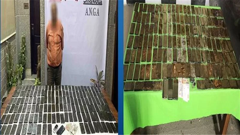 بحوزة 3 عناصر إجرامية.. ضبط 30 كيلو حشيش بالجيزة والشرقية