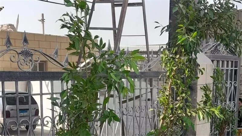 البيئة تبدأ بأعمال تشجير الكيلو الأول بشق الثعبان بمحافظة القاهرة