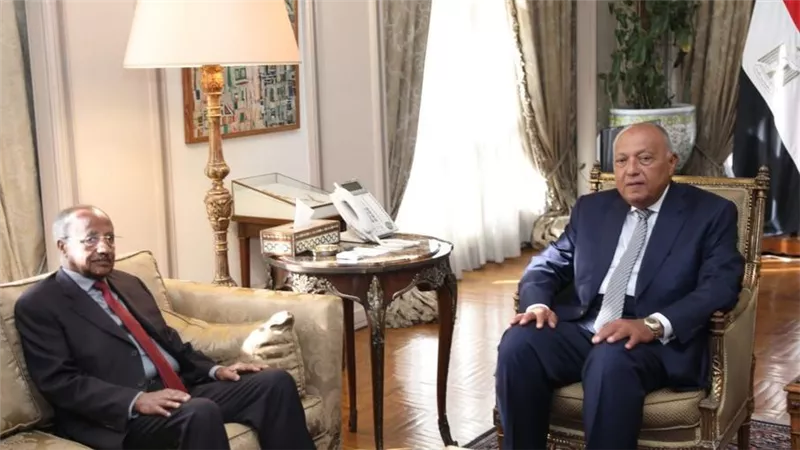 شكرى يلتقي مع وزير خارجية إريتريا والمستشار السياسي للرئيس الإريتري