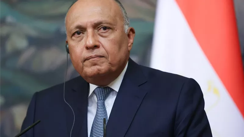سامح شكري: إسرائيل لم تتخذ خطوة للسماح بدخول المساعدات إلى غزة