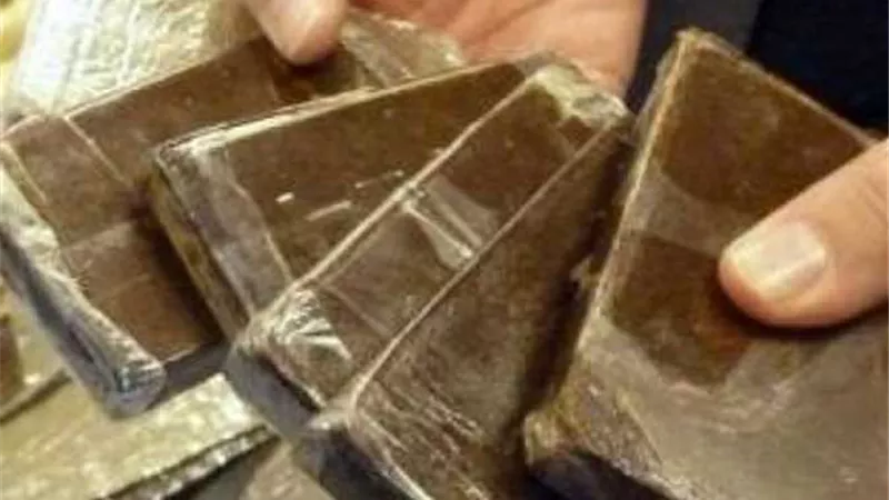 الإتجار في المواد المخدرة.. ضبط شخص بحوزته 130 طربة حشيش بالأسكندرية