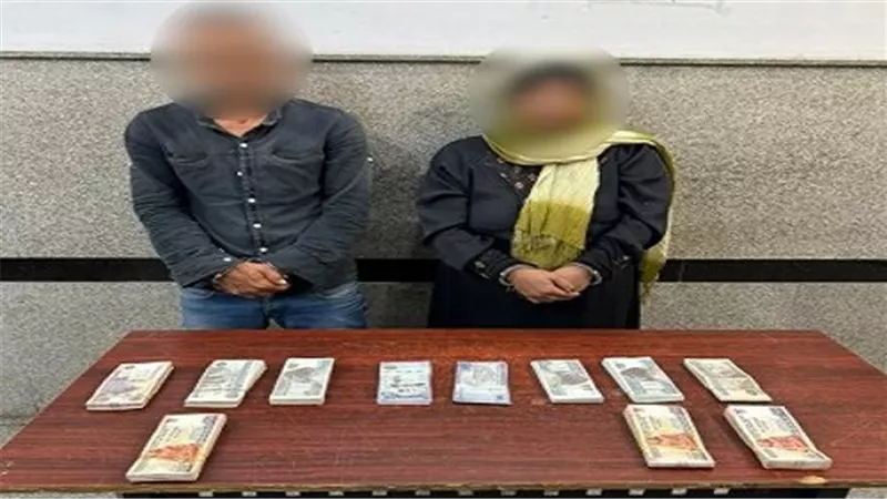 جهود الأجهزة الأمنية لمكافحة جرائم السرقات بالقاهرة