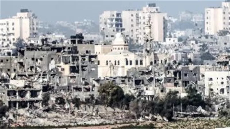 نائبة عن حماة الوطن: الشعب الفلسطينى يتعرض لأبشع حملات الإبادة الجماعية