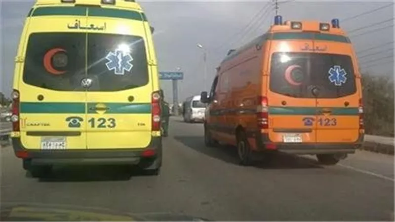 إصابة 14 في حادث تصادم سيارة بشاحنة أسمنت جنوب السويس