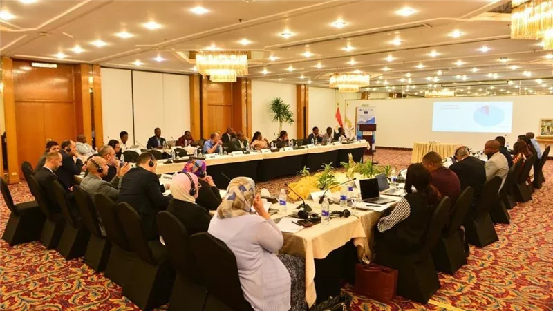  التنمية المستدامة وتحسين جودة الخدمات وكفاءة الاتصالات فى مجال النقل الجوى على رأس أولويات الأجندة الأفريقية