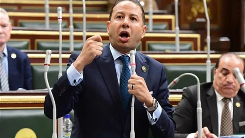 النائب حسن عمار: جهود مصر لصالح القضية الفلسطينية يعكس التزامها التاريخي والإنساني في مساندة الأشقاء