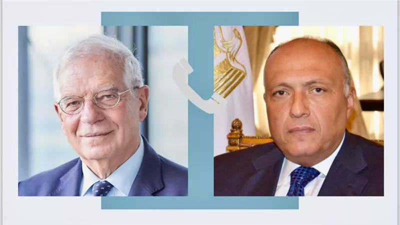 سامح شكرى يؤكد لوزيرى خارجية روسيا ونيوزيلاندا ضرورة الهدنة الفورية فى غزة