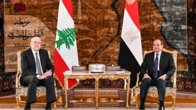 الرئيس السيسى يؤكد لـ