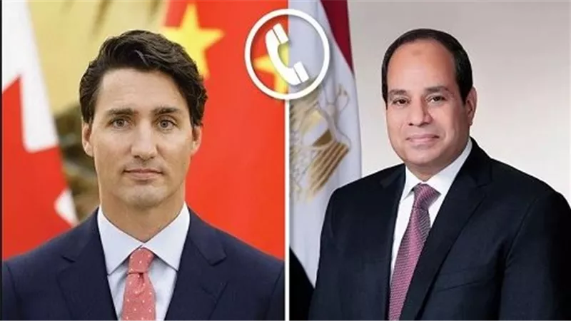 تبادل الرؤى.. الرئيس السيسي يؤكد لـ 