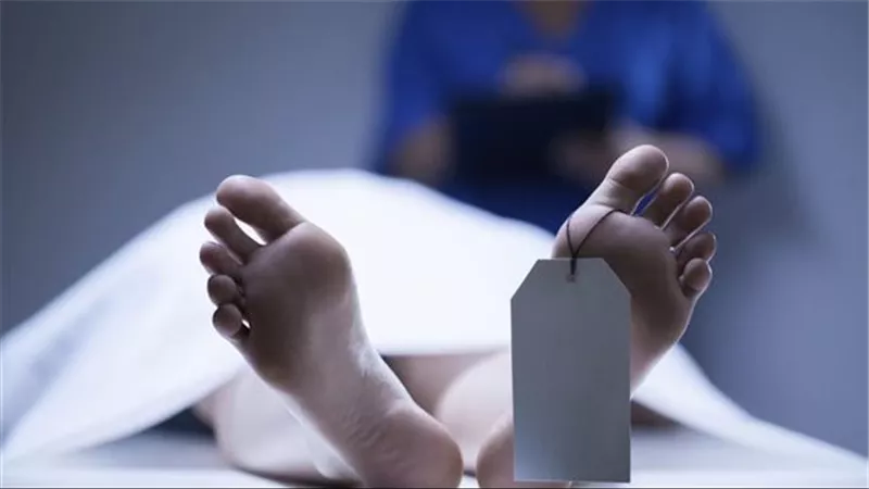 بسبب الخلافات المالية.. الداخلية تكشف تفاصيل مقتل طالب بكفر الشيخ