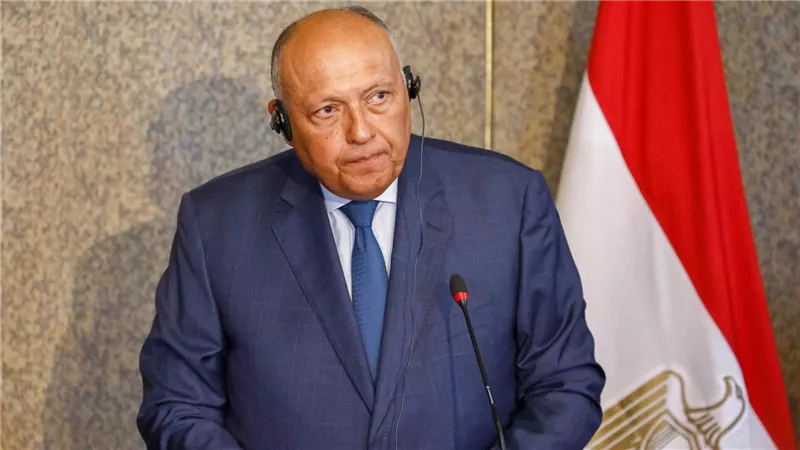  في حديثه مع الصحفيين الأجانب.. 