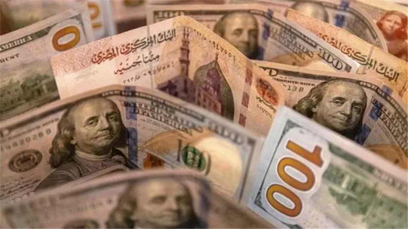 في ختام التعاملات المسائية اليوم.. سعر الدولار بالبنوك المصرية