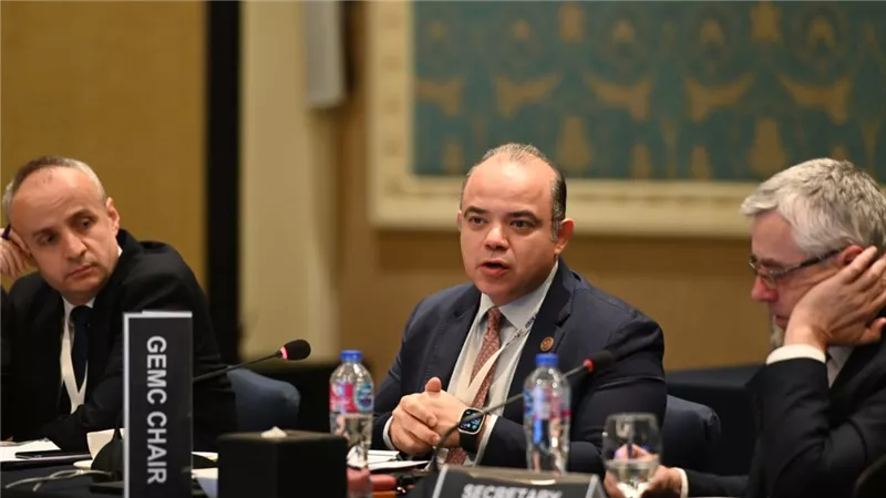 الدكتور محمد فريد رئيس الهيئة العامة للرقابة المالية يترأس اجتماع اللجنة التوجيهية للجنة الأسواق النامية والناشئة 