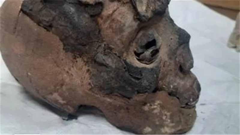 الخارجية تسلم السياحة والآثار عدداً من القطع الأثرية المستردة من نيوزيلاندا