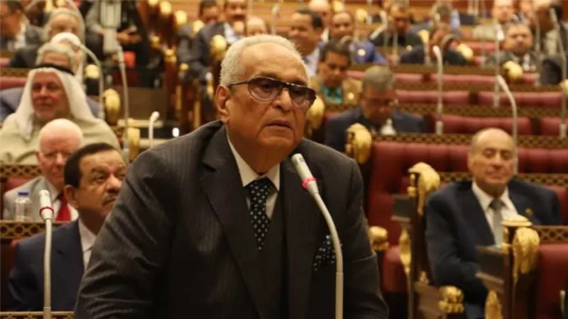 وكيل مجلس الشيوخ يدعو المصريين بالخارج للمشاركة الإيجابية بانتخابات الرئاسة