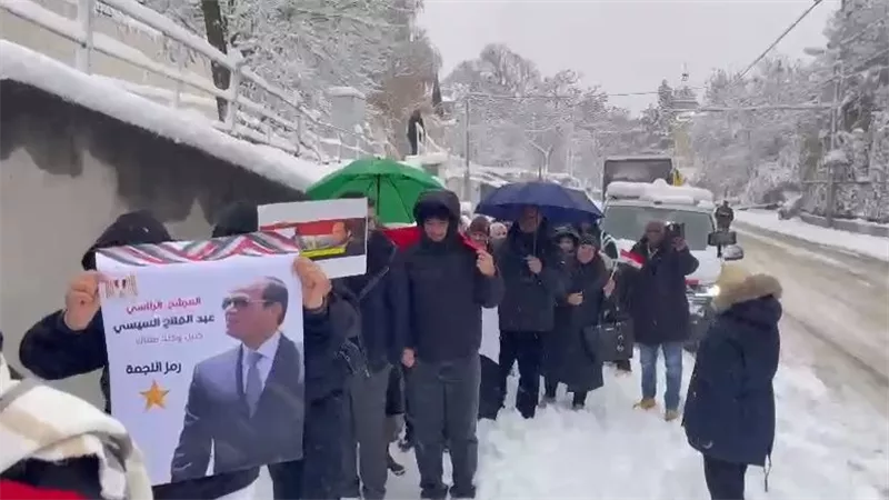 الجالية المصرية في فيينا تتحدى سوء الأحوال الجوية وتشارك بالانتخابات الرئاسية 