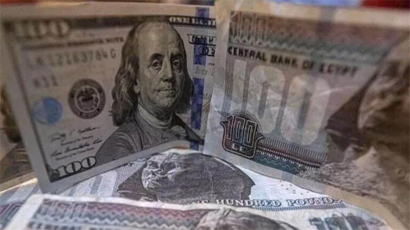 50 وطالع.. سعر الدولار مقابل الجنيه في السوق السوداء