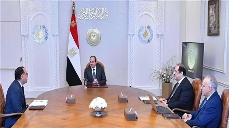 السيسي: التعاون مع دول حوض النيل أحد أهم ثوابت العمل المصري الأفريقي المشترك
