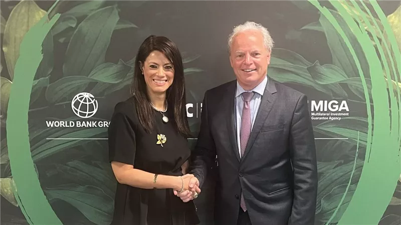 الدكتورة رانيا المشاط وزيرة التعاون الدولي تلتقي مع المدير المنتدب الأول بالبنك الدولي لشئون سياسات التنمية والشراكات