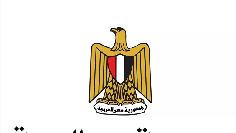 التضامن الاجتماعي تصرف التعويضات المقررة لمتضرري حريق معرض كفر الشيخ