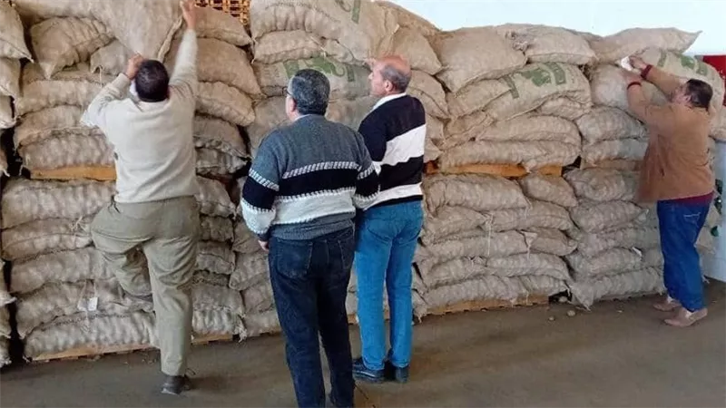 الزراعة تكثف حملات الرقابة والتفتيش على محطات ومنافذ بيع تقاوى البطاطس