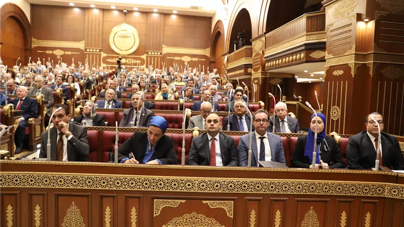 نائب بمجلس الشيوخ يقترح الاستعانة بالبلوجرز للترويج السياحي