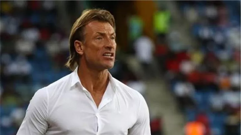 محمد فضل: هيرفي رينارد يرغب في تدريب منتخب مصر
