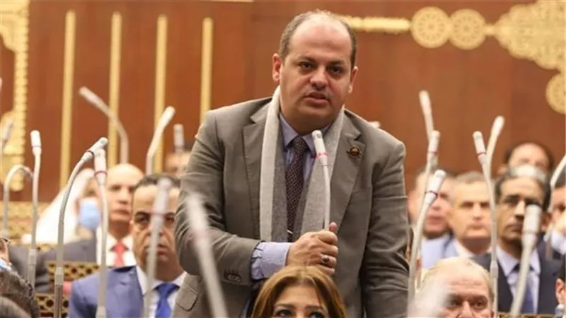 النائب أحمد عبد الماجد: قرارت الرئيس السيسي تؤكد قربه من المواطن ولمسه معاناته