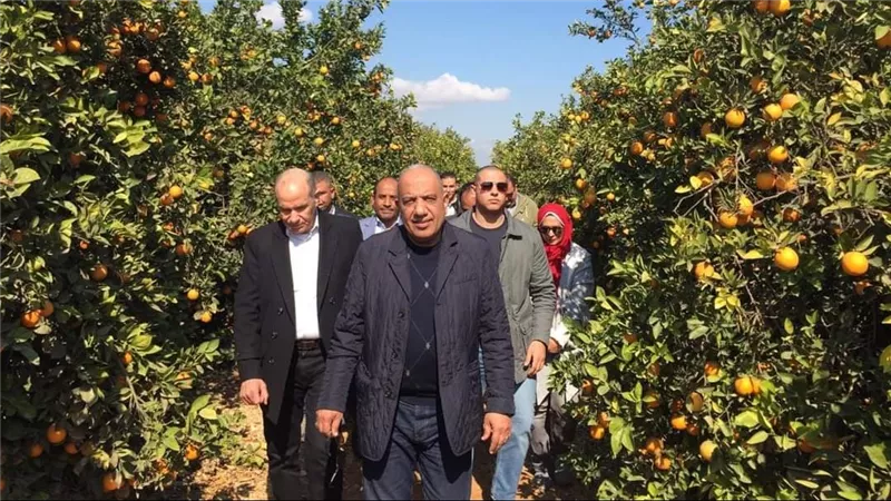 وزير قطاع الأعمال: التوسع في زراعة محصولي القمح وبنجر السكر ومشروعات جديدة للتصنيع الزراعي