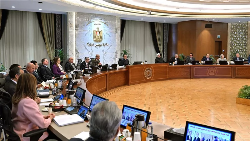 مجلس الوزراء يحدد سعر ضمان لتوريد القطن للموسم 2024/2025