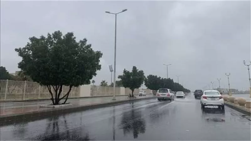 أمطار ورياح وشبورة.. 