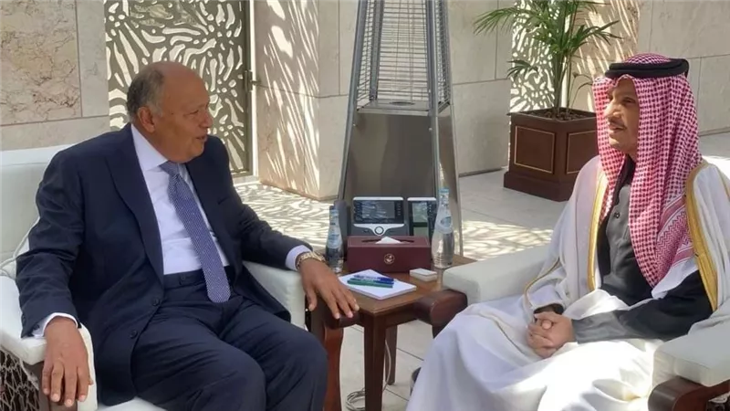 سامح شكري يعقد اجتماعاً ثنائياً مع رئيس مجلس الوزراء وزير خارجية دولة قطر