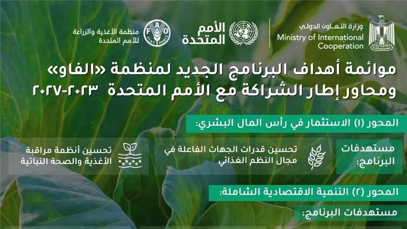 عقب توقيع البرنامج القُطري الجديد.. كل ما تريد معرفته عن التعاون بين مصر و «الفاو» (انفوجراف)