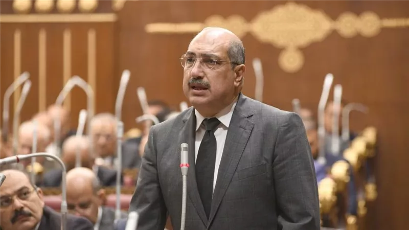 النائب إيهاب وهبة : قانون الضمان الاجتماعي يساهم في تحديد من لهم حق الحصول على الخدمات