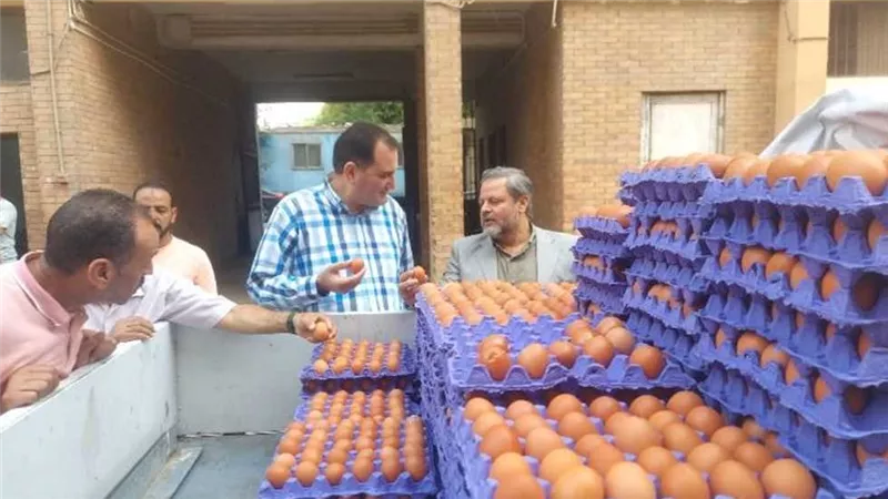 معرض وزارة الزراعة يطرح كرتونة البيض بـ 140 جنيهاً
