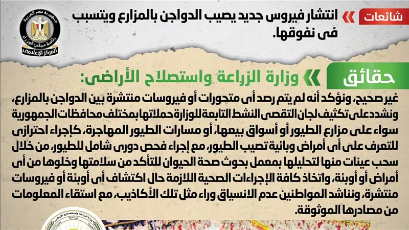 الحكومة تكشف حقيقة انتشار فيروس جديد يصيب الدواجن بالمزارع ويتسبب في نفوقها